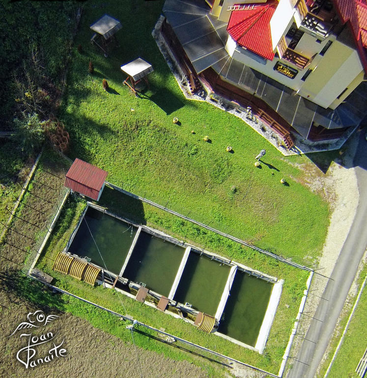 Pensiunea Geona Poiana Teiului Zewnętrze zdjęcie